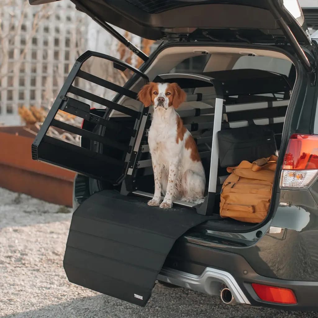 Podložka k prepravnej klietke Thule Dog Mat wide